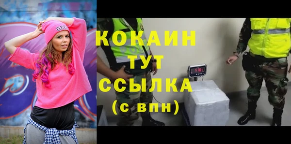 спиды Няндома