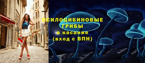 спиды Няндома