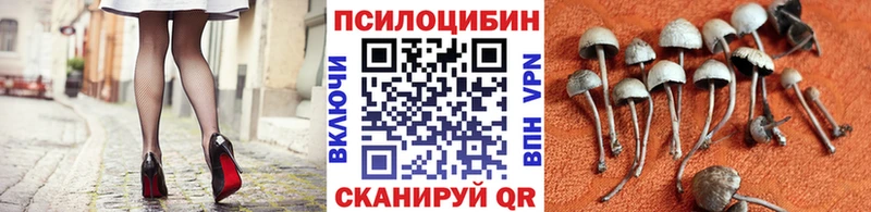 Псилоцибиновые грибы MAGIC MUSHROOMS  hydra зеркало  Электроугли 